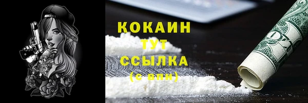 твердый Алексеевка