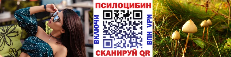 Галлюциногенные грибы MAGIC MUSHROOMS Юрьев-Польский