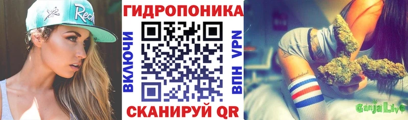 Канабис White Widow  хочу наркоту  Юрьев-Польский 